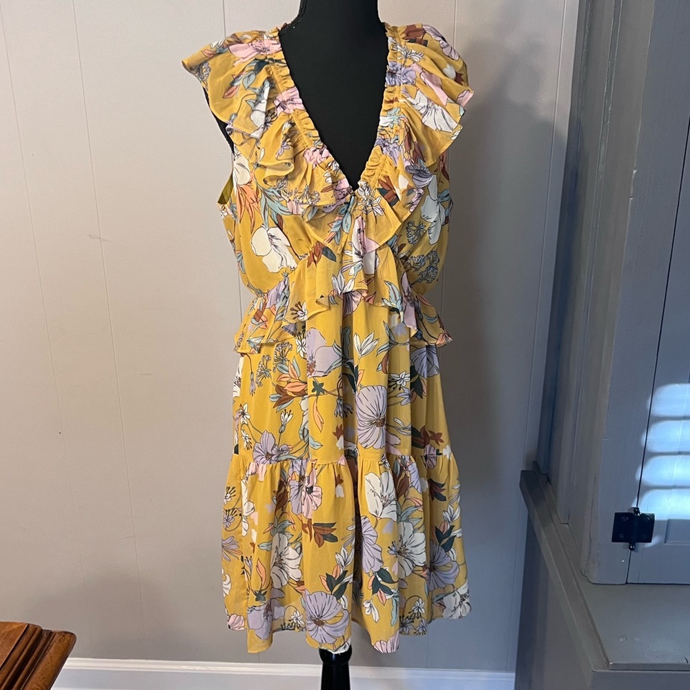 Pinch Floral Dress Ruffle Sleeve Cinch Waist